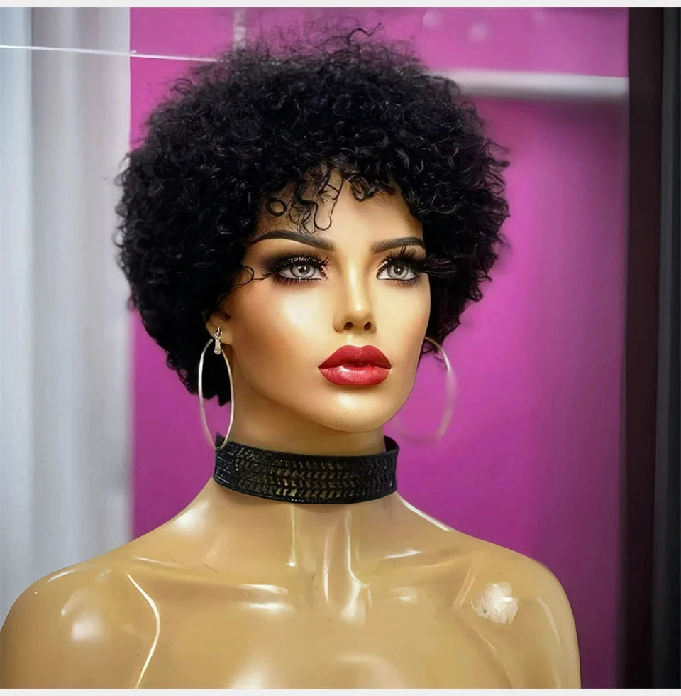 32.59 USD Afro curly hair