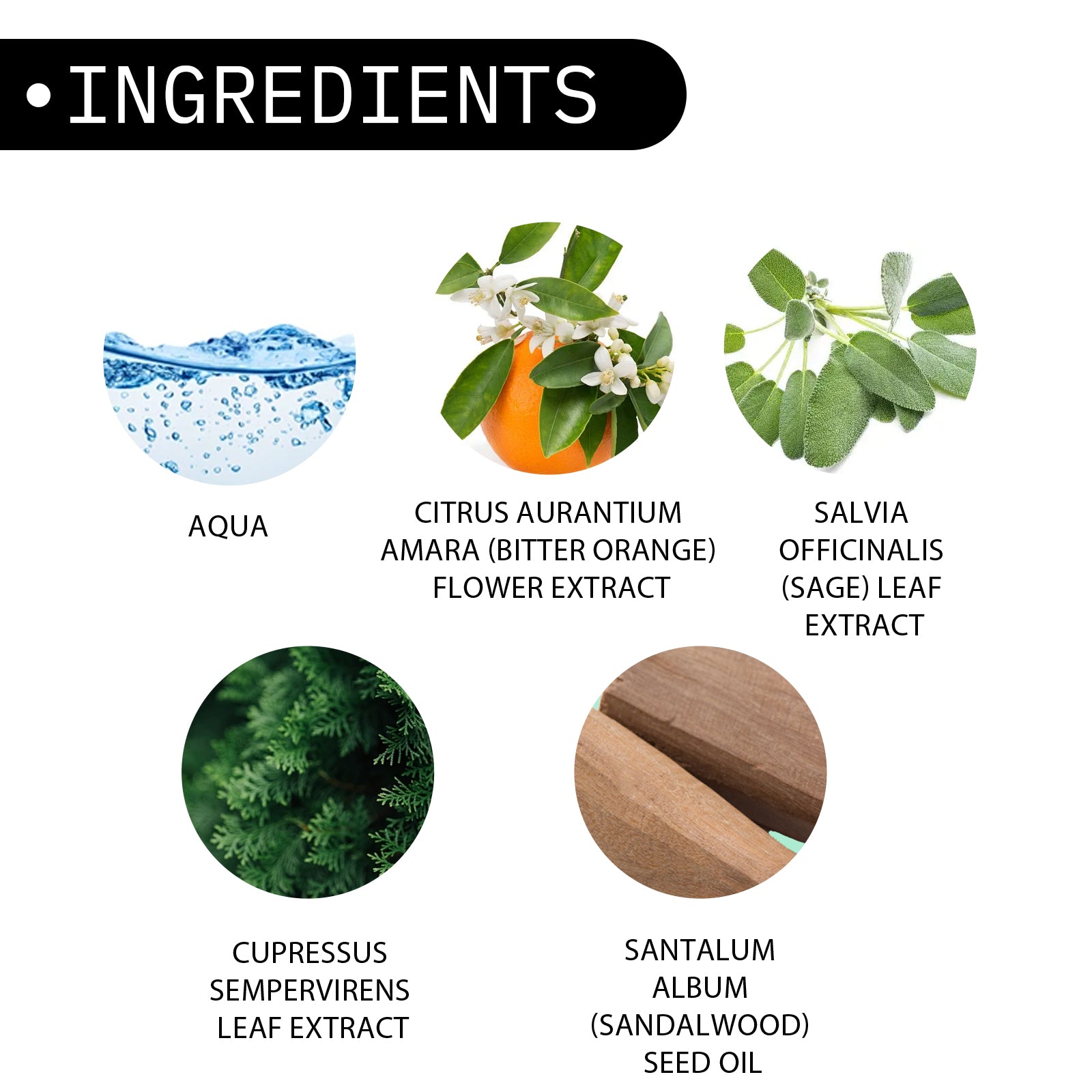 Perfume para hombre, bruma corporal ligera, fragancia natural, ambiente romántico, larga duración, perfume de nicho con encanto cautivador